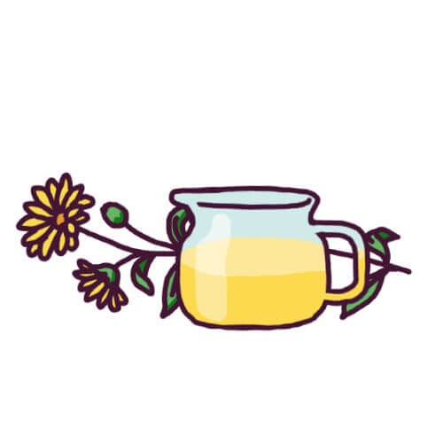 Macérât huileux d'arnica